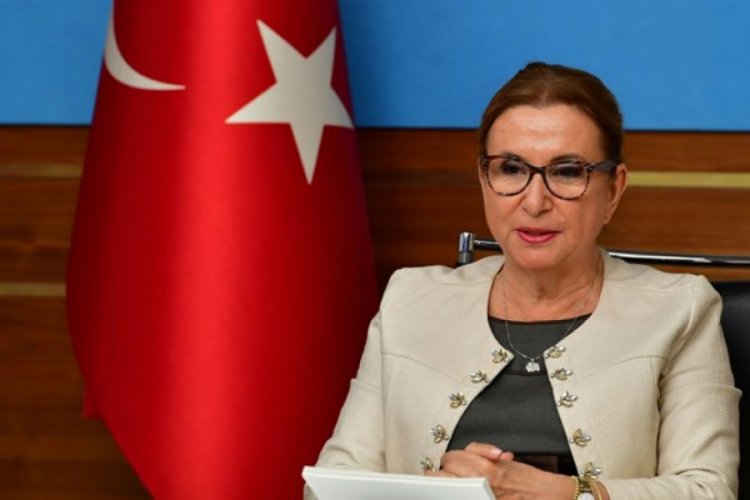 Bakan Pekcan duyurdu: Eximbank'tan ihracatçılara 561 milyon dolarlık finansman