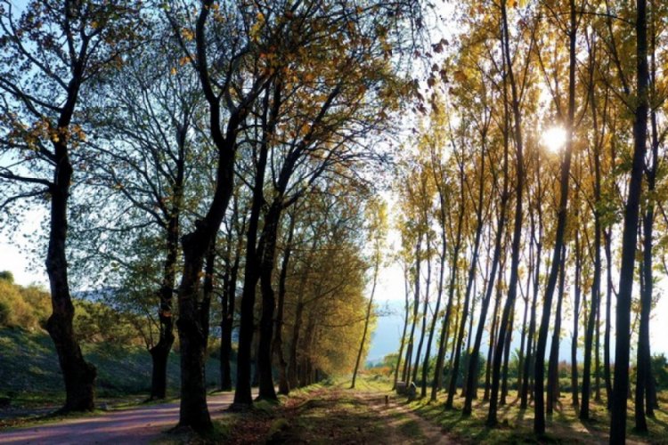 Bursa'daki bu yoldan geçen bir daha geliyor