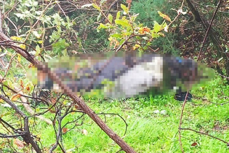 Bursa'da elinde testere ile ölü bulundu