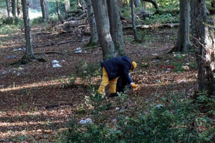 Belgrad Ormanı'nda utandıran görüntüler