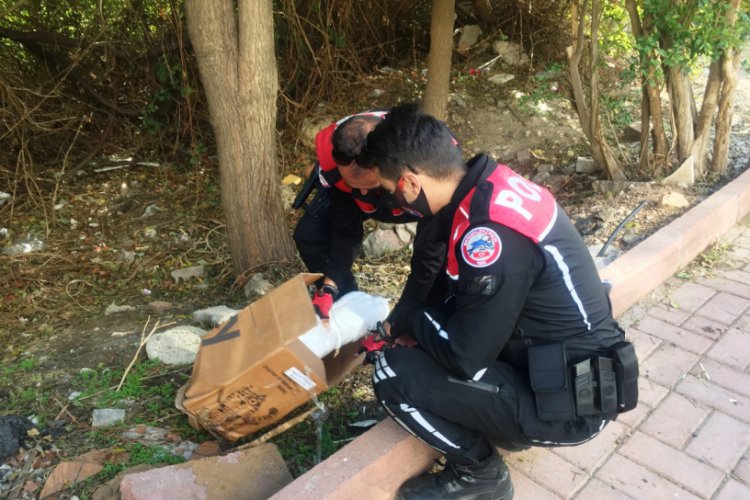 Bebek cesedi sanılan çarşafın içindeki kedi ölüsüymüş