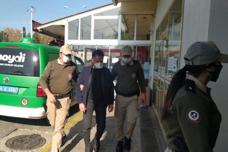 Sokak köpeğini öldüren doktor serbest kaldı