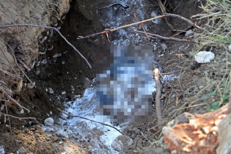 Ormanlık alanda hayvanları otlatan besici fark etti: Polis alarma geçti