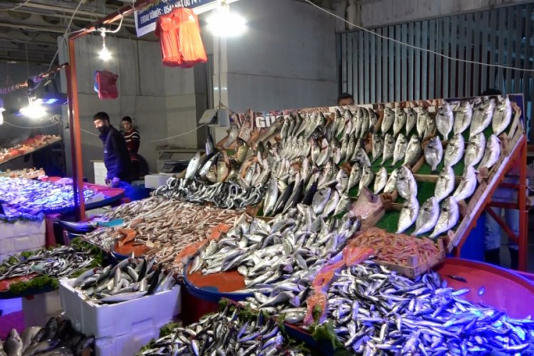 Bursa Gemlik'te hamsi ucuzladı