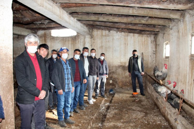 Erzurum'da dolandırılan 30 besicinin ahırında horoz ve tavuklar kaldı
