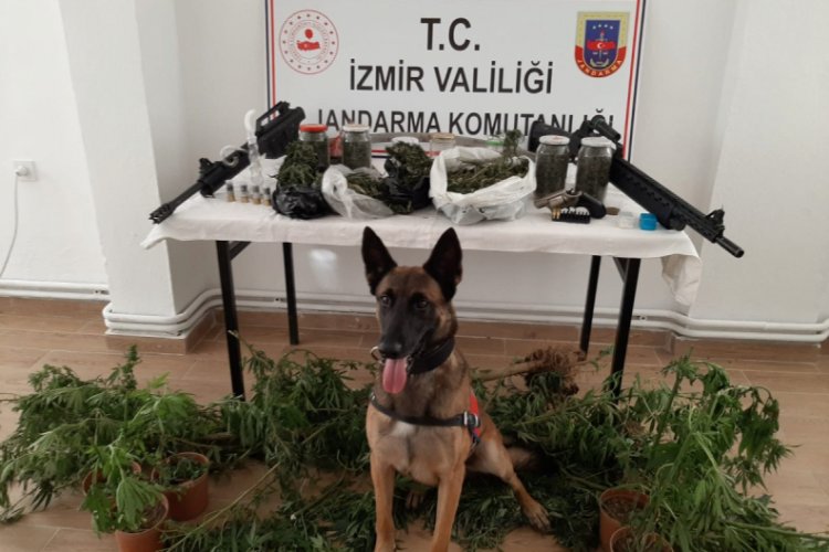 Uyuşturucu operasyonu: 21 şüpheli gözaltında