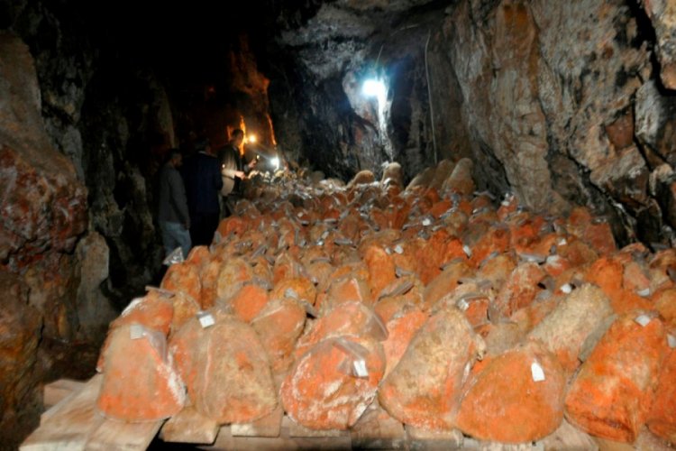 Divle peynirine talep arttı