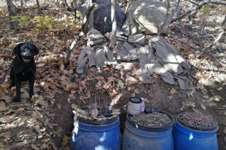 Bingöl'de EYP ve mühimmat ele geçirilerek imha edildi