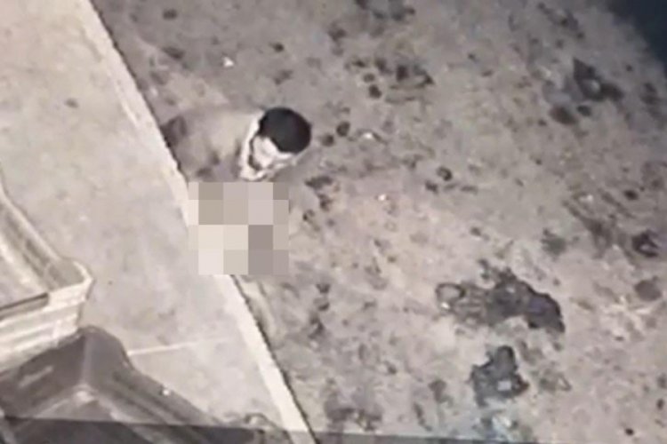 Halde köpeğe tecavüz!