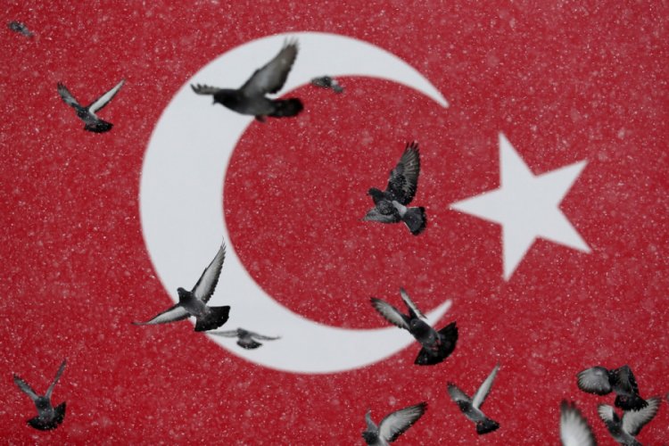 Bursa'da karlı meydanlar güvercinlere kaldı