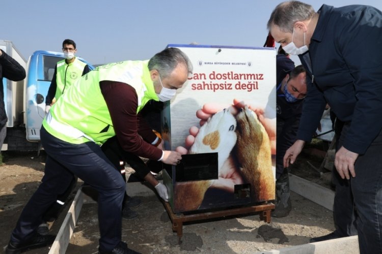 Bursa'da gönüllüler sokak hayvanları için sahaya indi
