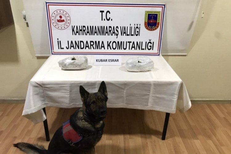 Yolcu otobüsünde uyuşturucu ile yakalanan 2 kişi gözaltına alındı