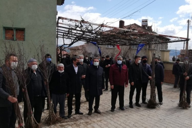 Bursa'nın dağ ilçeleri meyvecilikle kalkınacak