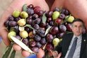 Hükümet Bursa'da yanlış teşvik mi yapıyor? - ÖZ...