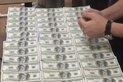Kanalizasyondan demet demet dolar çıktı