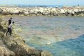 Mersin'de 'sarı deniz' paniği