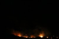 Adana'da orman yangını 