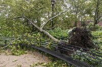 ABD'de tropik fırtına alarmı