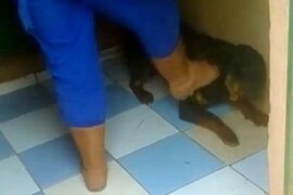 Hayvanseverleri ayağa kaldıran görüntü