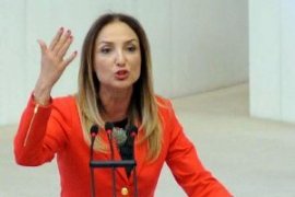 O silah meclis gündeminde