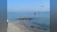 Mudanya'da denizde kayboldular!