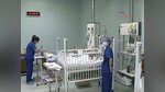 Çin'de domuz gribi hortladı