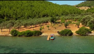 Mandıra Filozofu Filmi Fragmanı izle