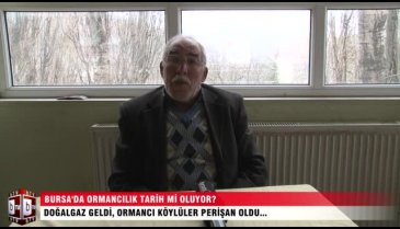 Bursa'da ormancılık tarih mi oluyor? ÖZEL HABER