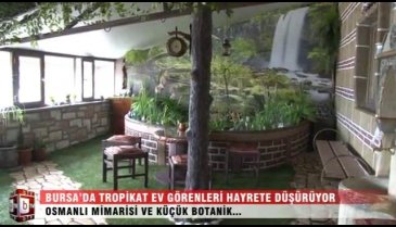 Yok böyle bir ev! Bursa'da tropikat ev görenleri hayrete düşürüyor - ÖZEL HABER