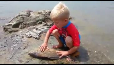 Ölen balık ve küçük çocuk...