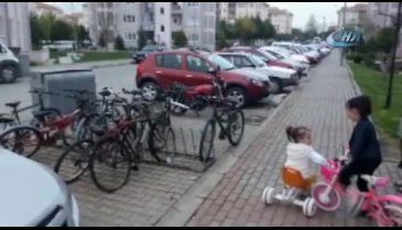 Bursa'da sinekler Yenişehirlileri canından bezdirdi!