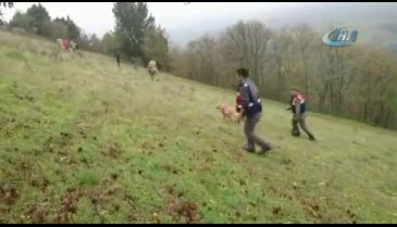 Bursa'da köpek keçileri ahıra geri getirince, çobanın kaybolduğu ortaya çıktı