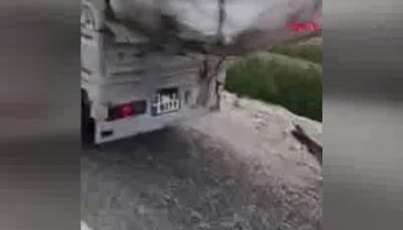 Adana'da vahşet! Köpeği motosikletin arkasına bağlayıp sürükledi