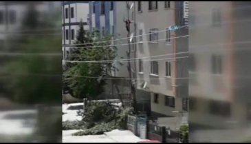 Metrelerce yükseklikte tehlikeli budama çalışması