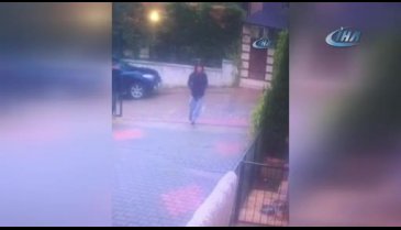 Bursa'da 'Herkül'ü önce sevip sonra çaldılar!