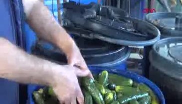Türkiye'nin turşu üretim merkezi olan Bursa'daki köyde Ramazan mesaisi!
