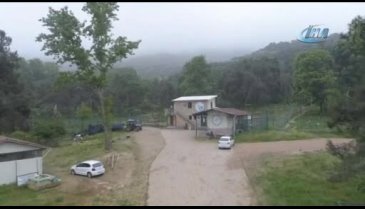Yaralı bulunan 'saz delicesinin' tedavisine Bursa'da başlandı