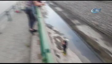 Bursa'da su kanalında mahsur kalan köpek kurtarıldı