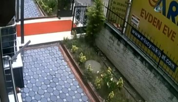 Şemsiyeli hırsızlar kamerada