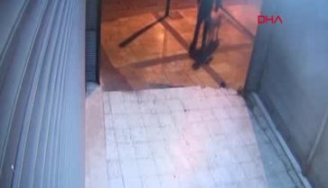 Böyle sapıklık görülmedi! Sokak köpeğini boğarak öldürüp, tecavüz etti