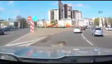 Trafikte fare sürprizi!