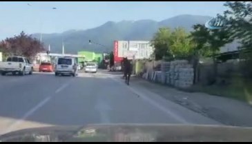 Bursa'da ipini koparan başıboş at trafiği tehlikeye soktu