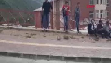 Gümüşhane Üniversitesi'nde arındırma işlemi yapıldı
