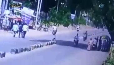 Yola fırlayan köpek korkunç kazaya neden oldu!