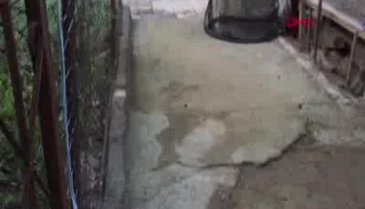 İki kardeş evlerinin önünde bıçaklanarak öldürüldü!