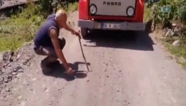 Yılanı kurtarmak için her şeyi yaptı