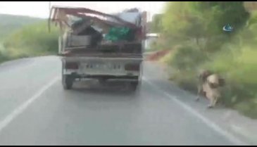 Kamyonetinin arkasına bağladığı köpeği böyle sürükledi
