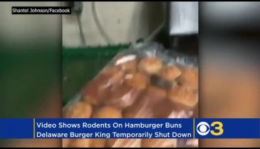 Dev hamburger zincirinde skandal görüntü!