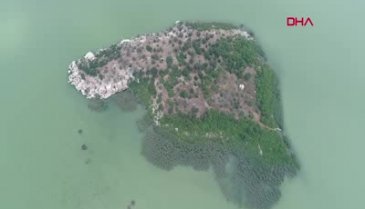 Bursa'da sahibinden 13 milyon liraya satılık ada