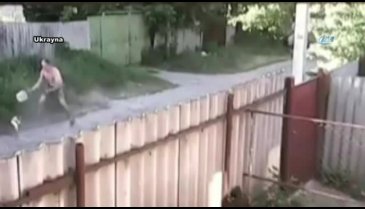 Pitbullar adama böyle saldırdı